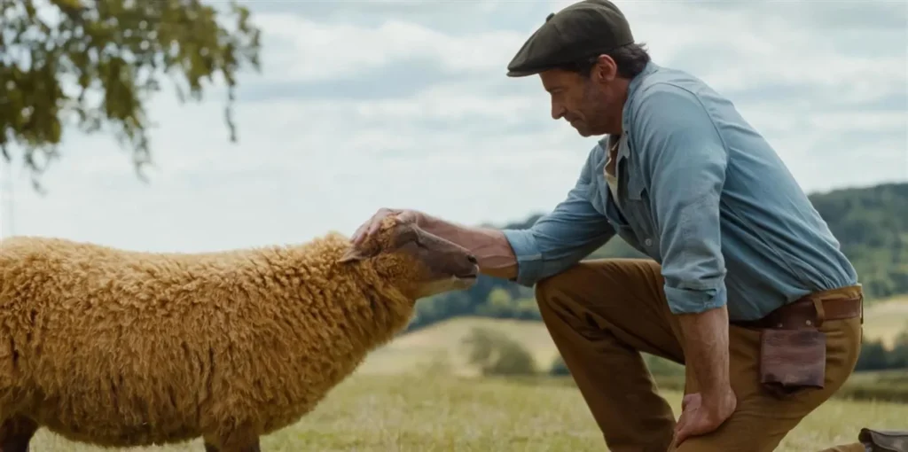 Herec Hugh Jackman hladká ovcu na zelenom vidieku vo filme Ovce na stope.