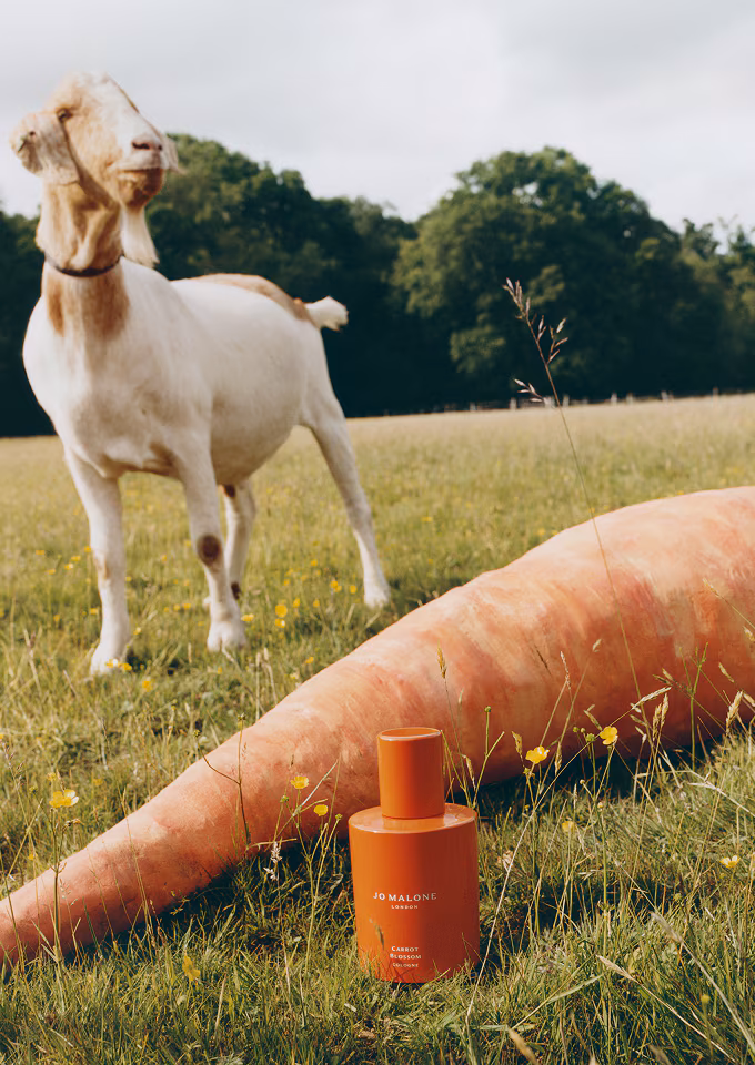 Flakón luxusného parfému Carrot Blossom z limitovanej edície Jo Malone London.